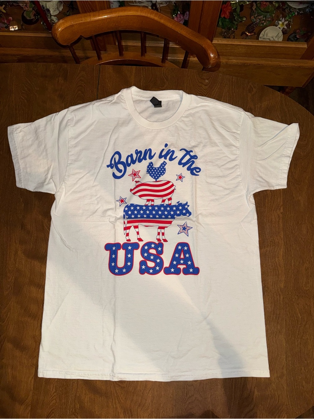 Gildan White Short Sleeve Tee with Red & Blue USA Barn Graphic